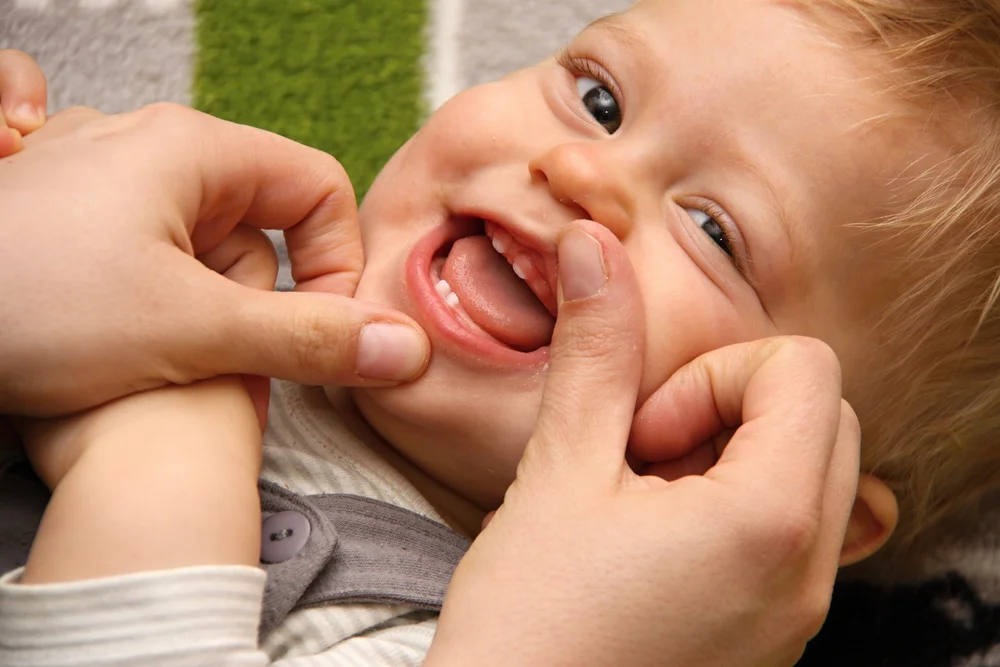 First dental visit child friendly
