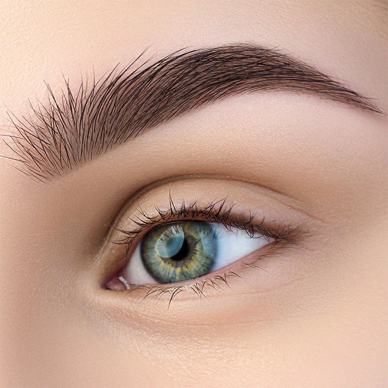Genetic sparse eyebrow density